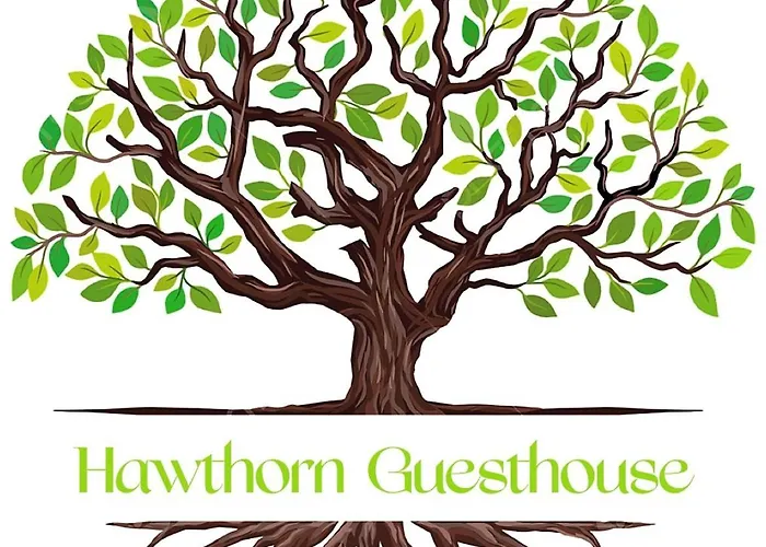 Hawtհorn Guestհouse