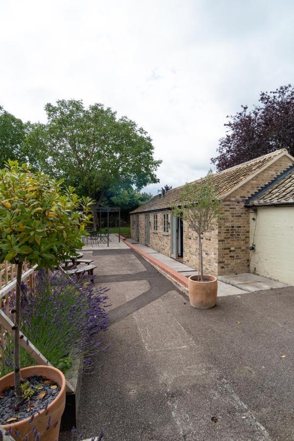 Mjpattheshepherds 3* Cambridge (Cambridgeshire)