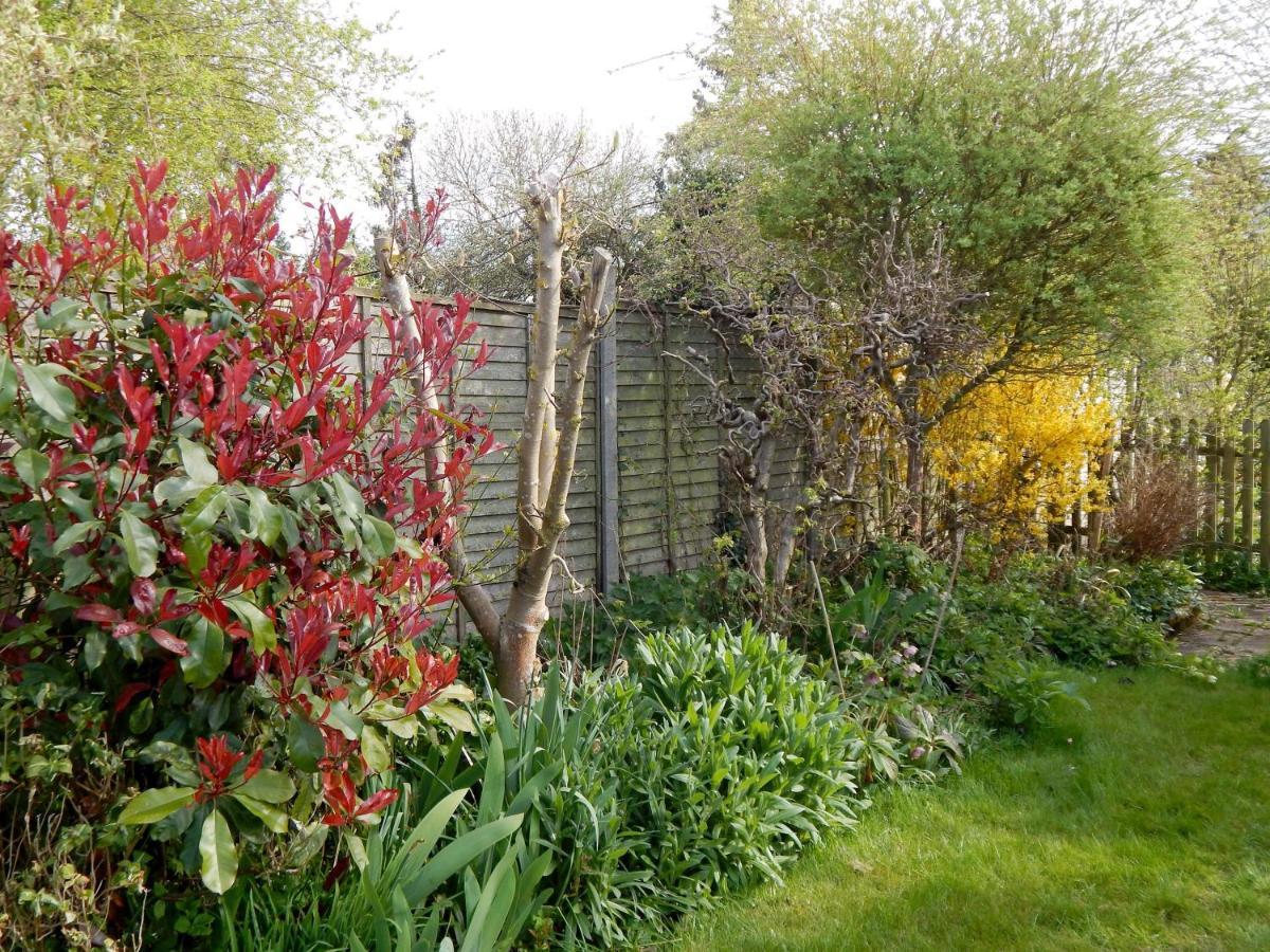 Luxurious 3 Bedroom House For Families, Corporate With Gardens And Parking Apartment Cambridge (Cambridgeshire)