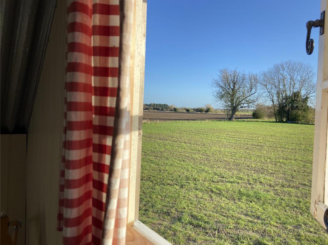Fen Meadows Glamping - Luxury And Bell Tents Cambridge (Cambridgeshire)