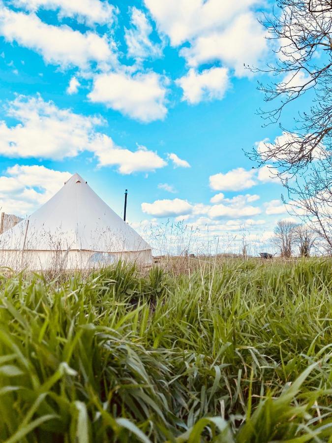 Fen Meadows Glamping - Luxury And Bell Tents Campsite Cambridge (Cambridgeshire)