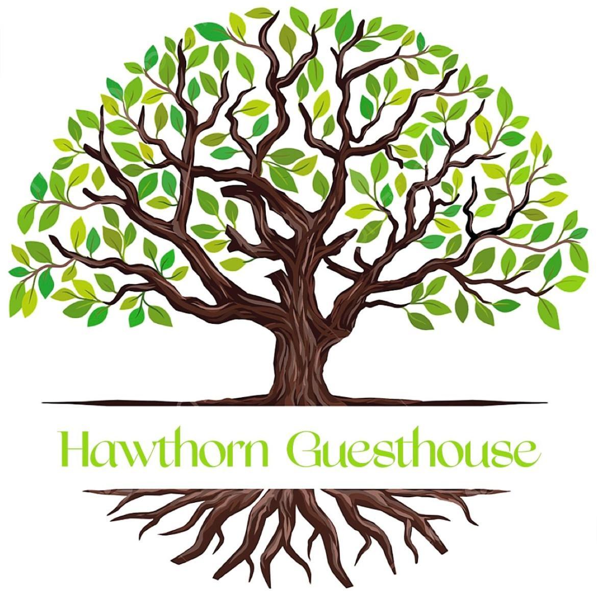 Hawtհorn Guestհouse Cambridge (Cambridgeshire)