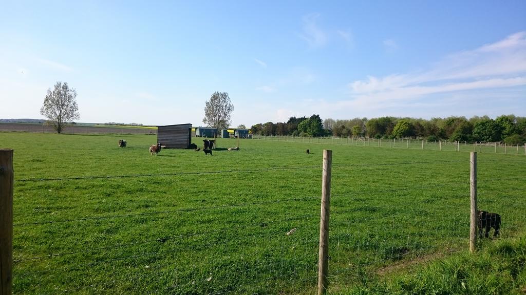 Pidley Bottom Cottages - Luxury Sc Rooms - Fully Furnished And Equipped - Kitchen - Towels And Linen Included Cambridge (Cambridgeshire)