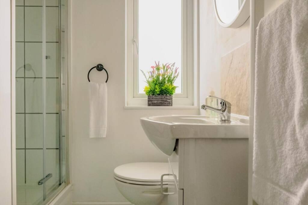 Boutique And Beautiful Apartment Cambridge (Cambridgeshire)
