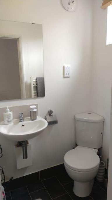 Modern Spacious Detached In Holiday home *