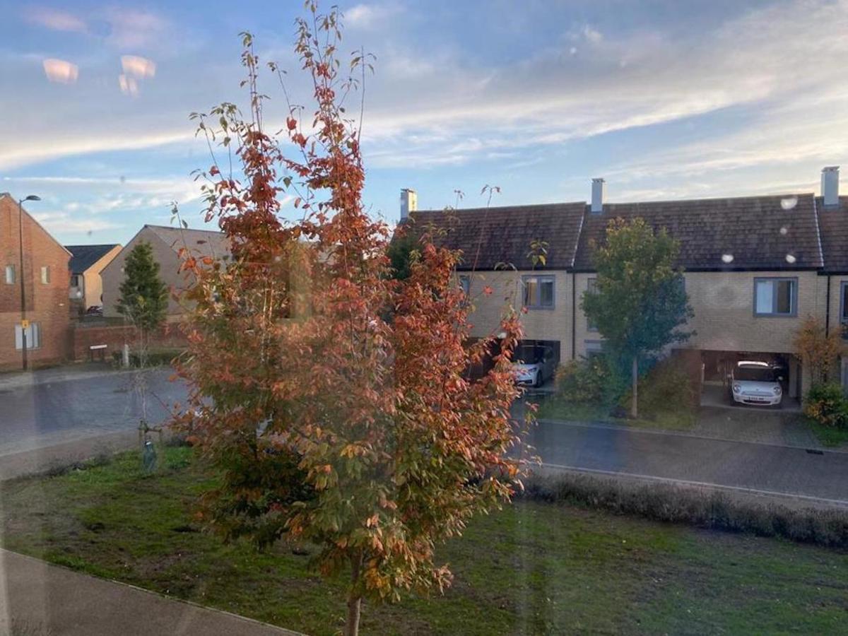Cozy Garden Retreat: 4-bed Near Hospitals Apartment *