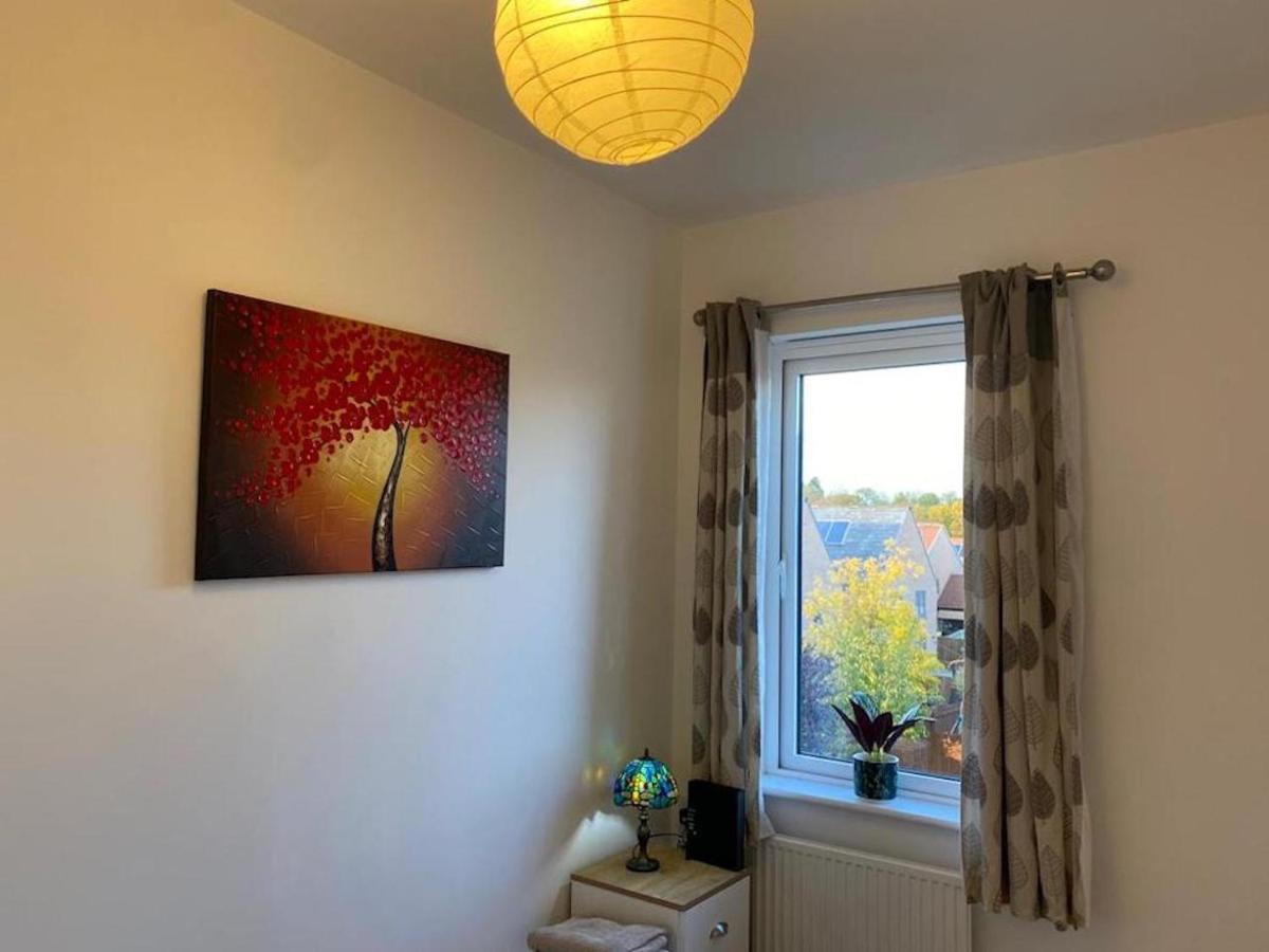 Cozy Garden Retreat: 4-bed Near Hospitals Apartment