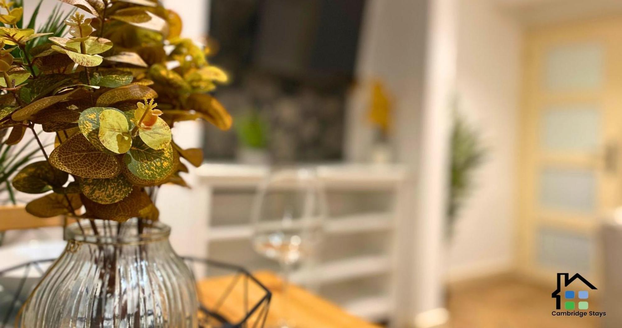 Apartment Stunning 1br - Super Central- Peaceful Area - Lower Ground
