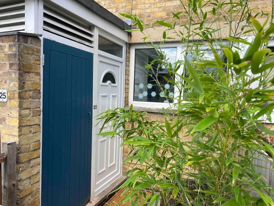 Lime Tree In Blue House * Cambridge (Cambridgeshire)
