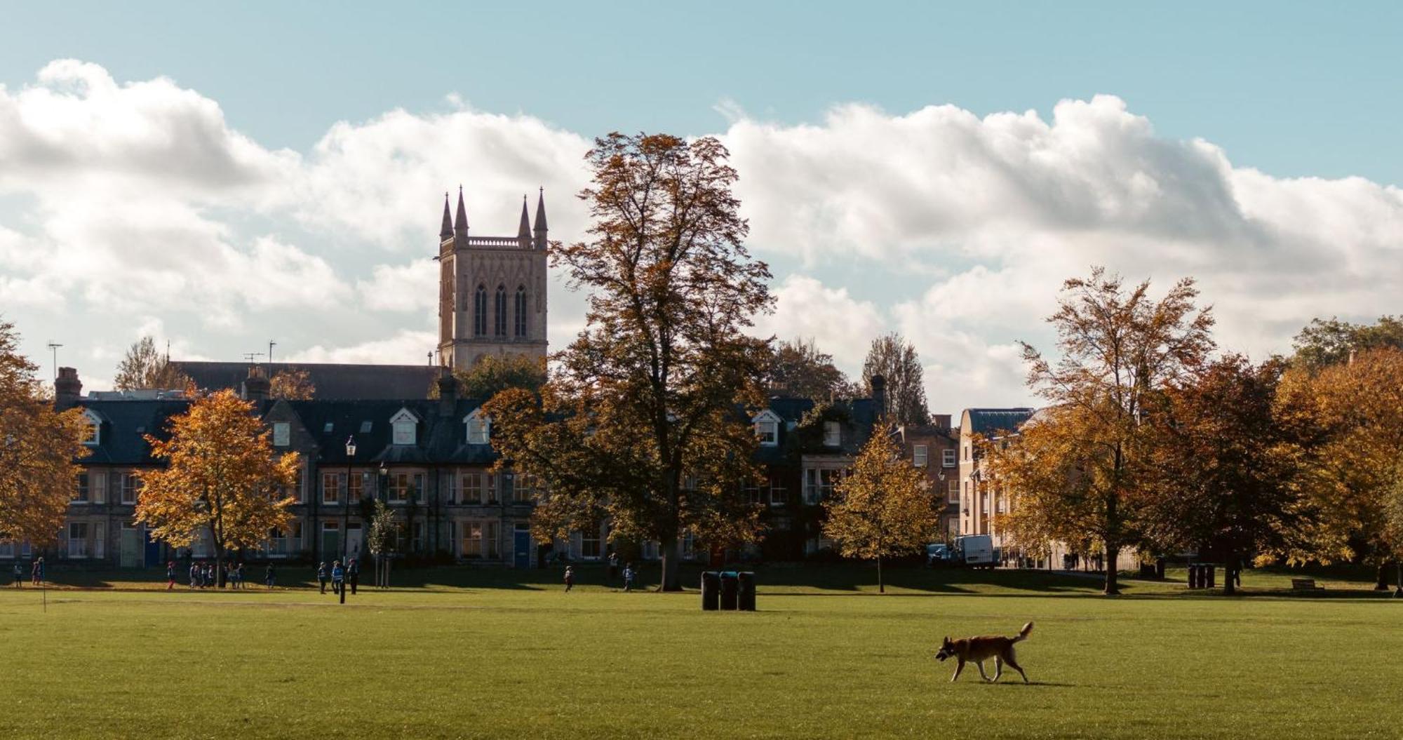 Cambridge Stays - Apartment At Addenbrooke Hospital And Bio Campus - Free Private Parking *