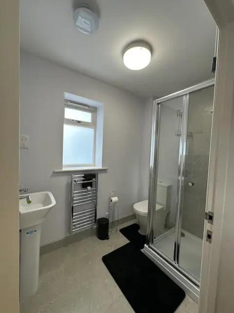 Apartment Modern