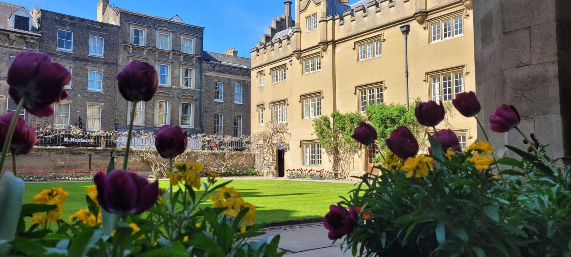Apartment Sidney Sussex College, *