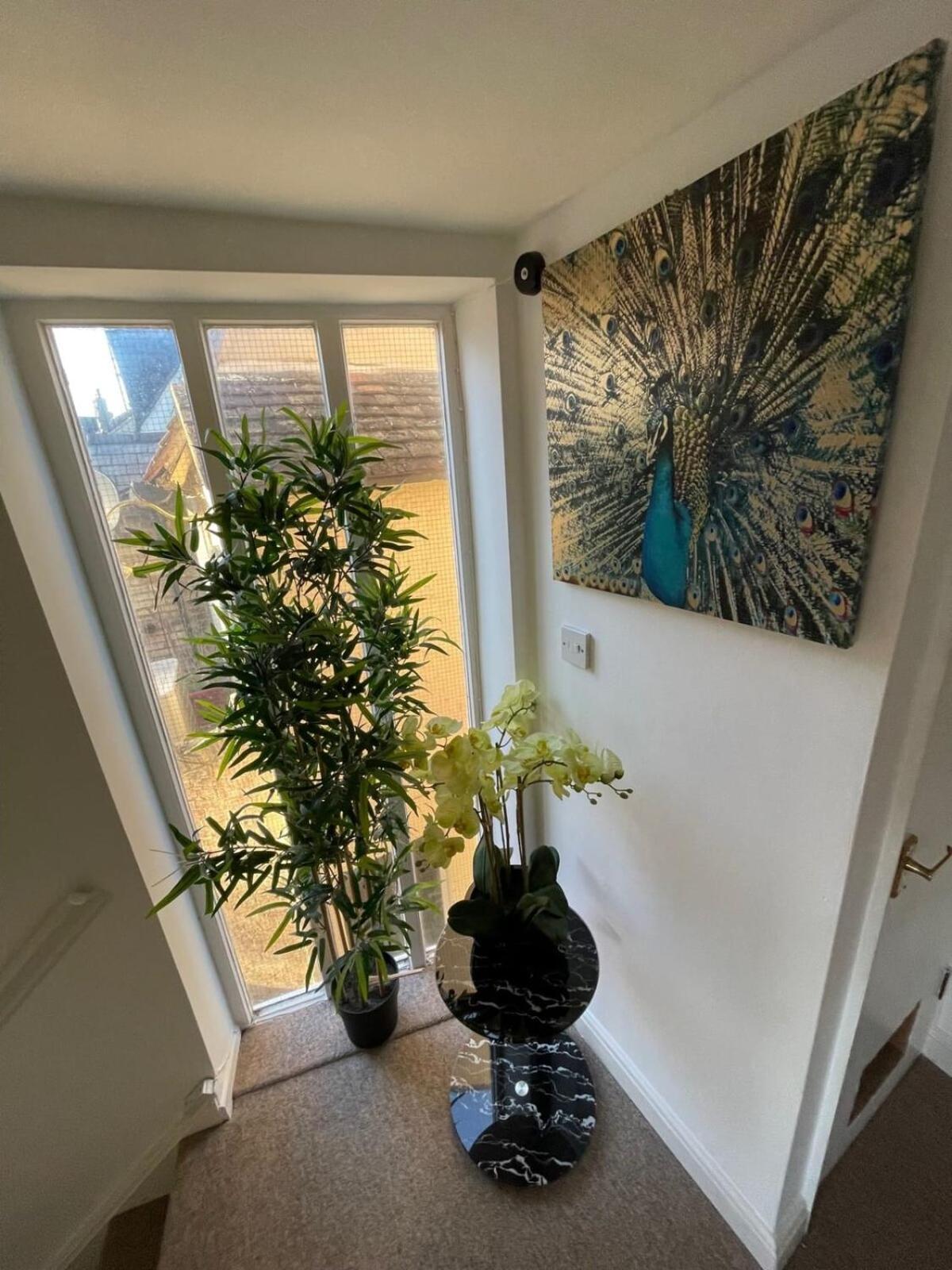 Next To Park 3 Bedroom V Cambridge (Cambridgeshire)
