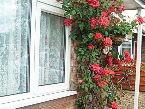 Rosa's Bed & Breakfast 4*