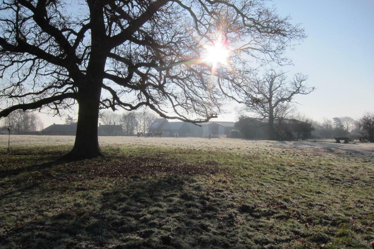 The Bull Pen Farm stay Cambridge (Cambridgeshire)