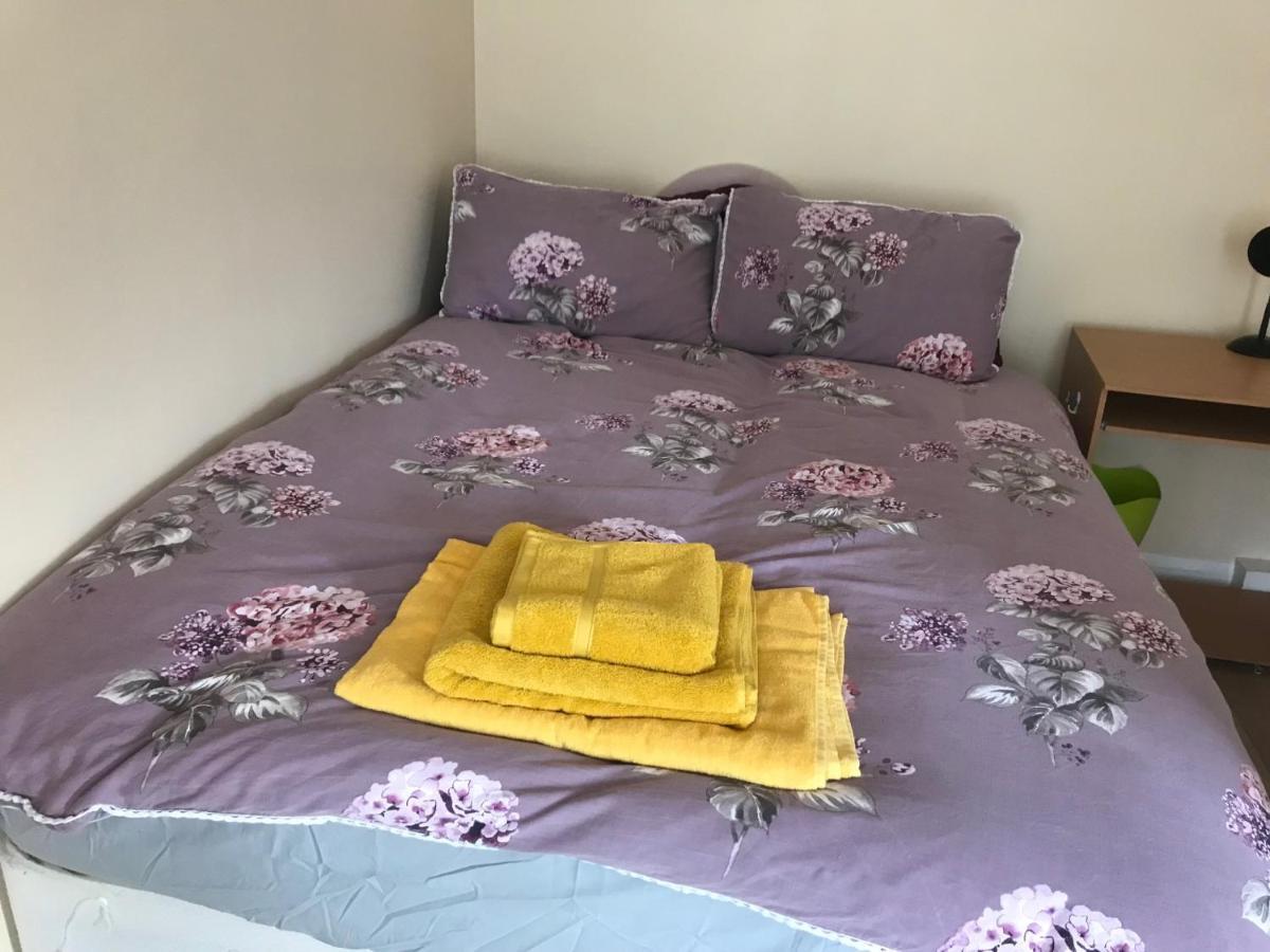 Guest house Lavin House *