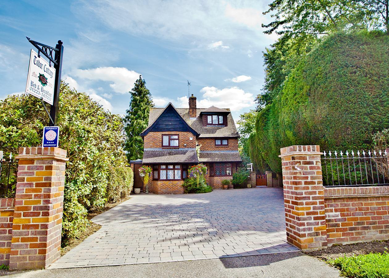 Tudor